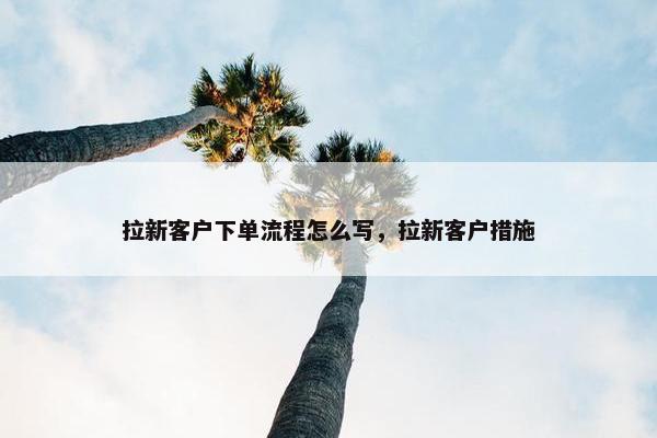 拉新客户下单流程怎么写，拉新客户措施