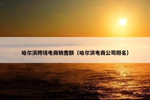 哈尔滨跨境电商销售额（哈尔滨电商公司排名）