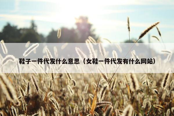 鞋子一件代发什么意思（女鞋一件代发有什么网站）