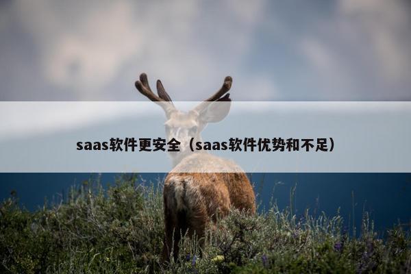 saas软件更安全（saas软件优势和不足）