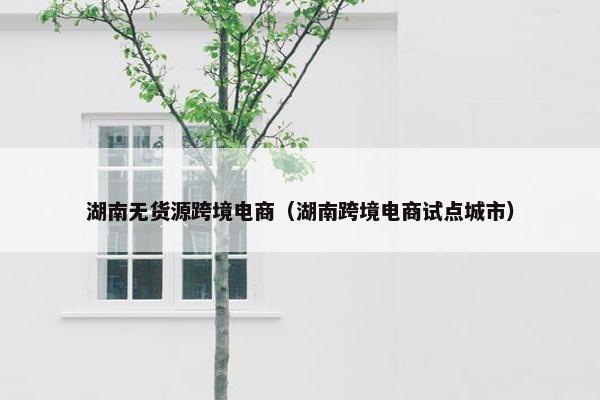 湖南无货源跨境电商（湖南跨境电商试点城市）