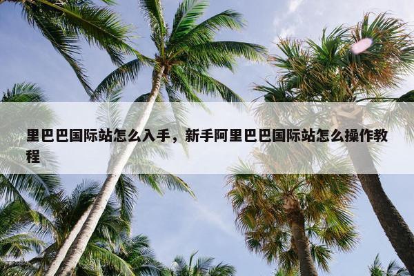 里巴巴国际站怎么入手，新手阿里巴巴国际站怎么操作教程