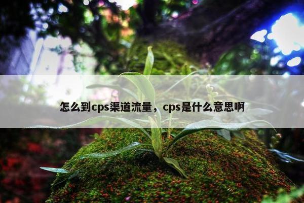 怎么到cps渠道流量，cps是什么意思啊