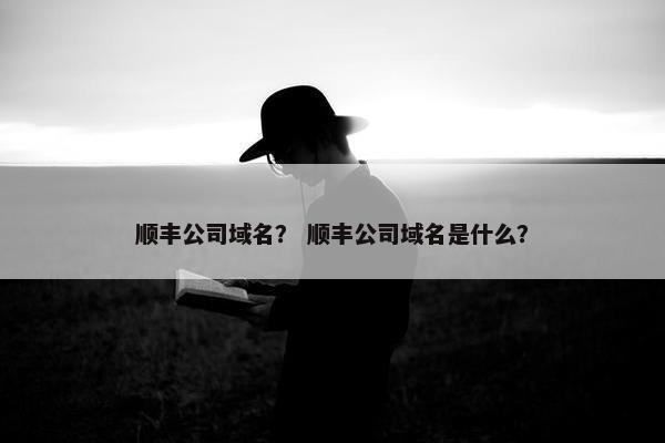 顺丰公司域名？ 顺丰公司域名是什么？