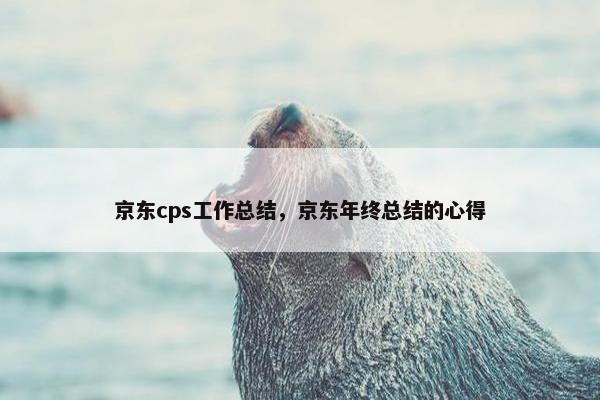 京东cps工作总结，京东年终总结的心得