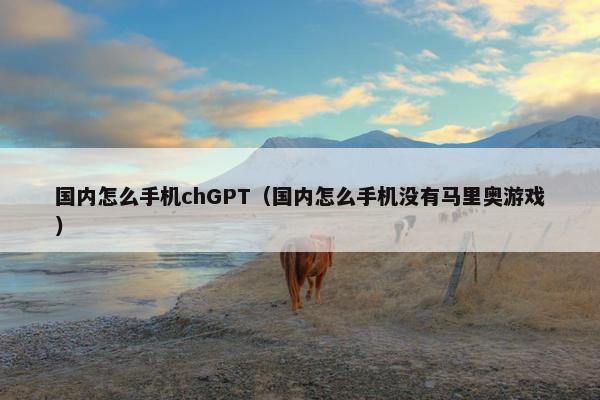 国内怎么手机chGPT（国内怎么手机没有马里奥游戏）