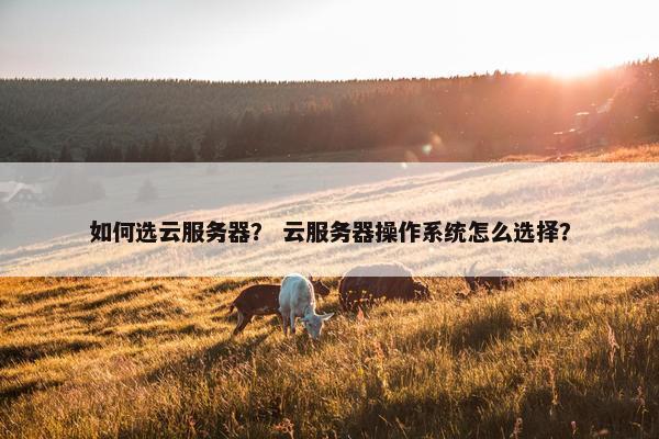 如何选云服务器？ 云服务器操作系统怎么选择？