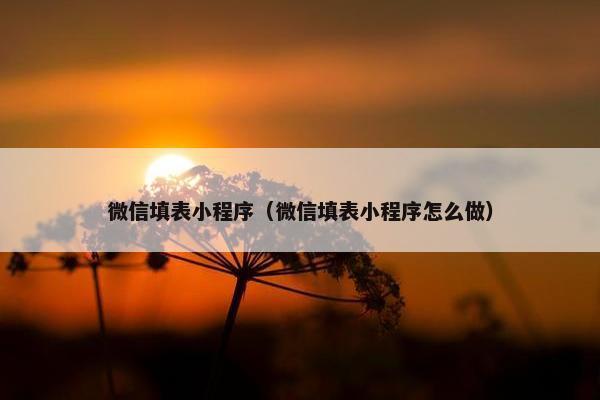 微信填表小程序（微信填表小程序怎么做）