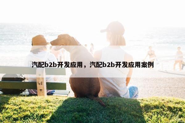 汽配b2b开发应用，汽配b2b开发应用案例