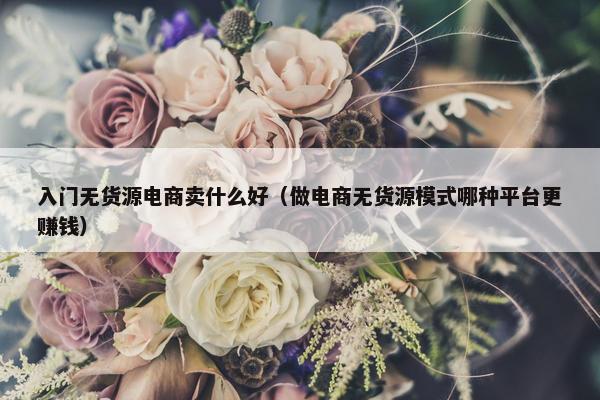 入门无货源电商卖什么好（做电商无货源模式哪种平台更赚钱）
