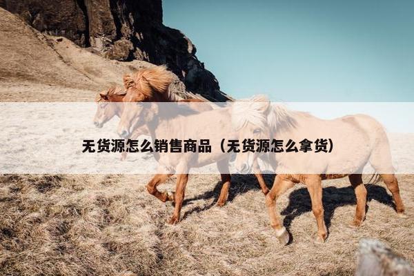 无货源怎么销售商品（无货源怎么拿货）