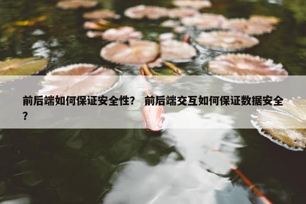 前后端如何保证安全性？ 前后端交互如何保证数据安全？