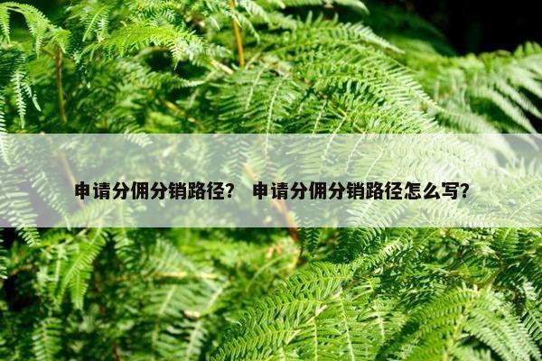 申请分佣分销路径？ 申请分佣分销路径怎么写？