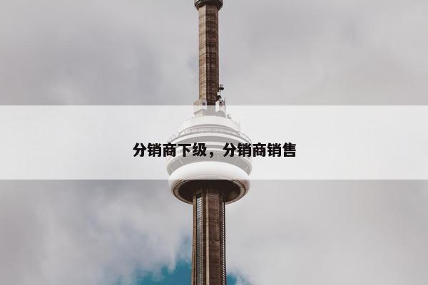 分销商下级，分销商销售