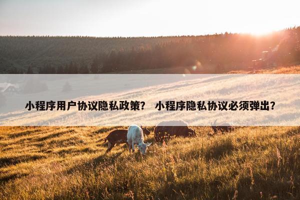 小程序用户协议隐私政策？ 小程序隐私协议必须弹出？