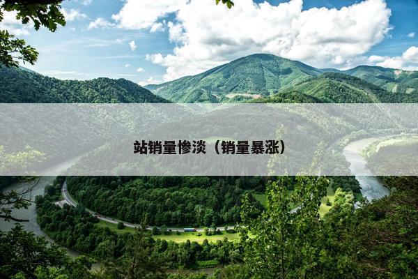 站销量惨淡（销量暴涨）