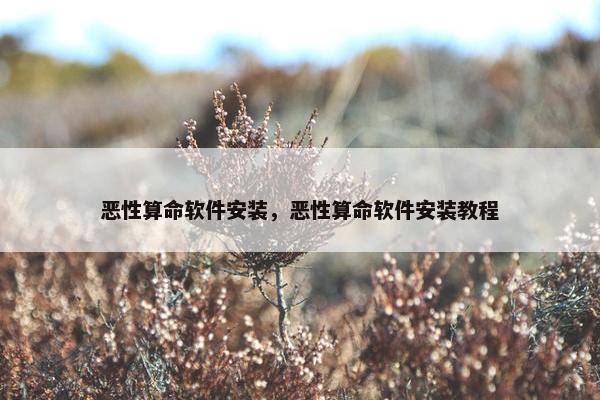 恶性算命软件安装，恶性算命软件安装教程
