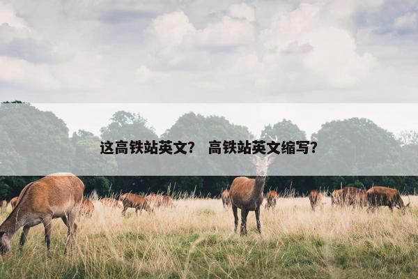 这高铁站英文？ 高铁站英文缩写？