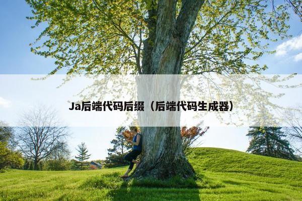 Ja后端代码后缀（后端代码生成器）
