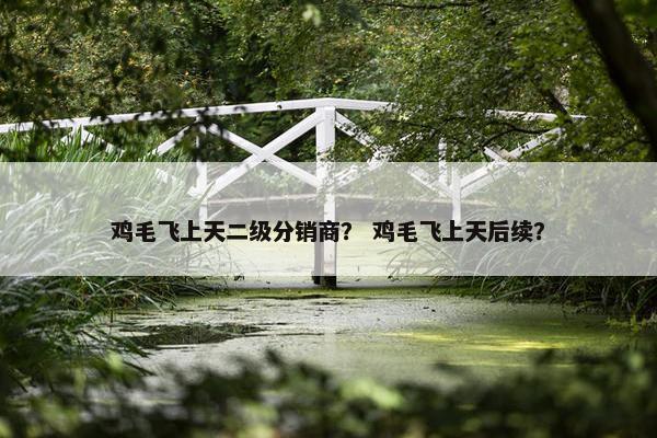 鸡毛飞上天二级分销商？ 鸡毛飞上天后续？