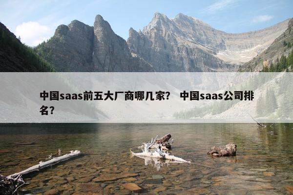 中国saas前五大厂商哪几家？ 中国saas公司排名？