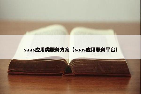 saas应用类服务方案（saas应用服务平台）