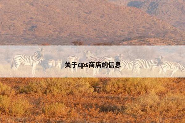 关于cps商店的信息