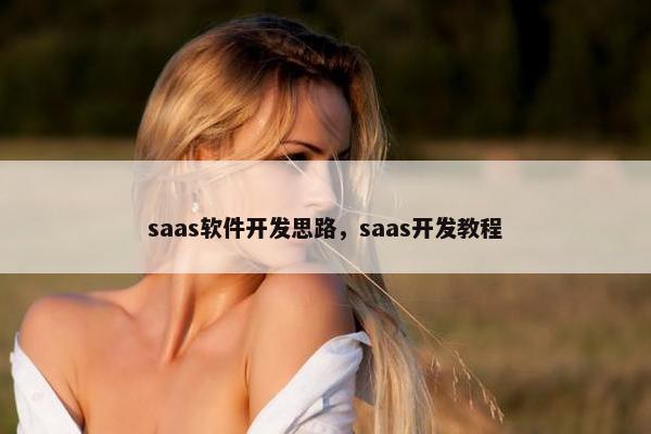 saas软件开发思路，saas开发教程