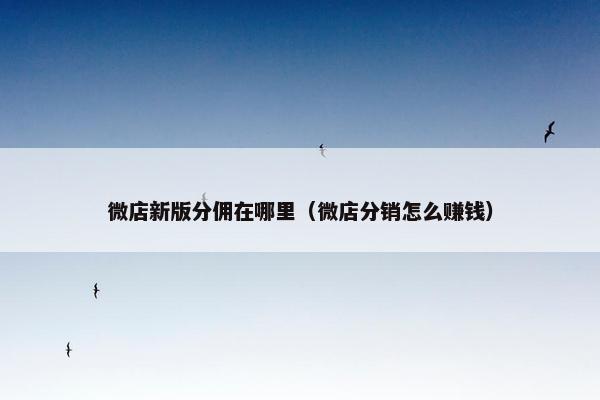 微店新版分佣在哪里（微店分销怎么赚钱）