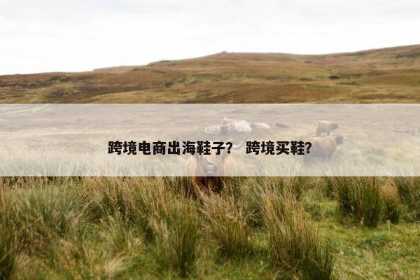 跨境电商出海鞋子？ 跨境买鞋？