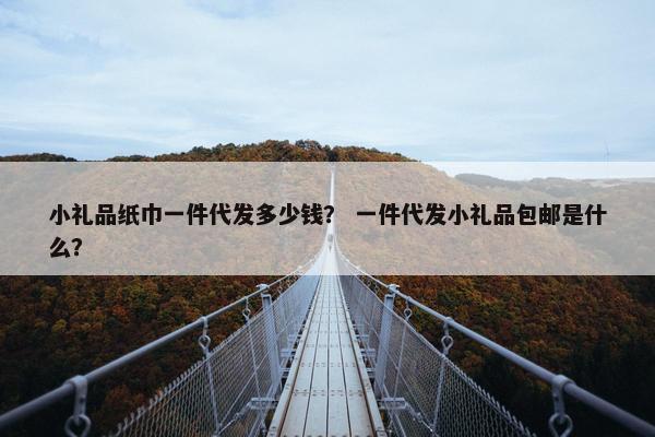 小礼品纸巾一件代发多少钱？ 一件代发小礼品包邮是什么？