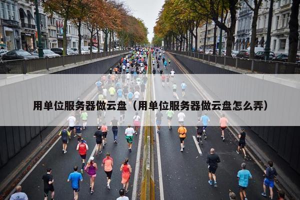 用单位服务器做云盘（用单位服务器做云盘怎么弄）