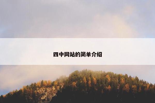 四中网站的简单介绍