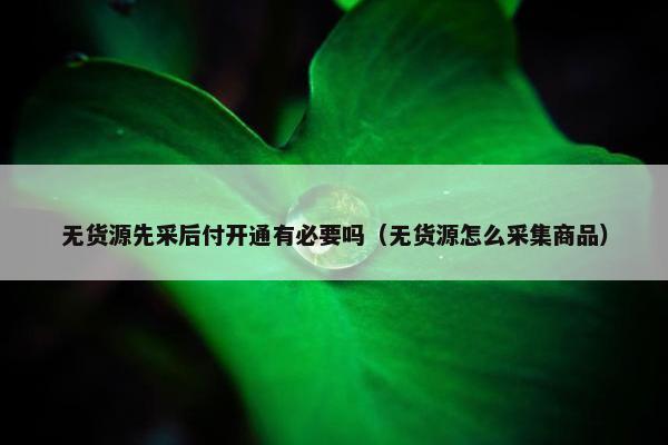 无货源先采后付开通有必要吗（无货源怎么采集商品）