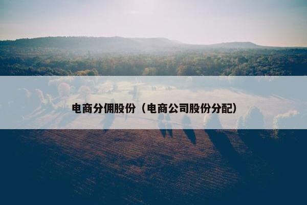 电商分佣股份（电商公司股份分配）