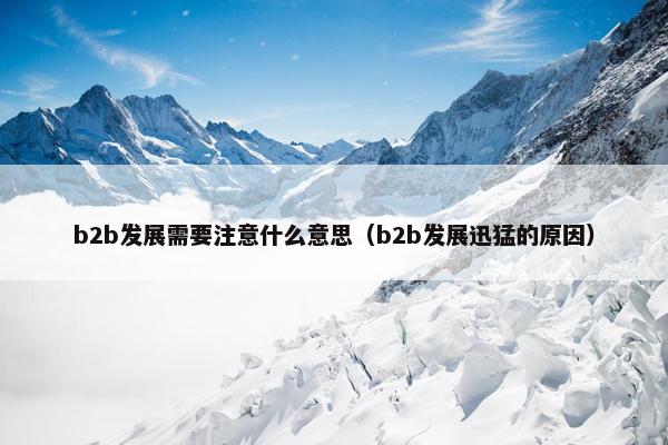 b2b发展需要注意什么意思（b2b发展迅猛的原因）
