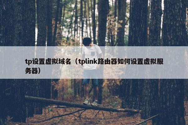 tp设置虚拟域名（tplink路由器如何设置虚拟服务器）