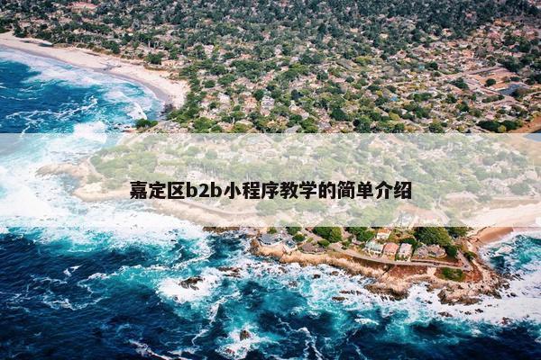 嘉定区b2b小程序教学的简单介绍