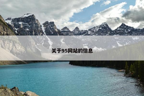 关于95网站的信息