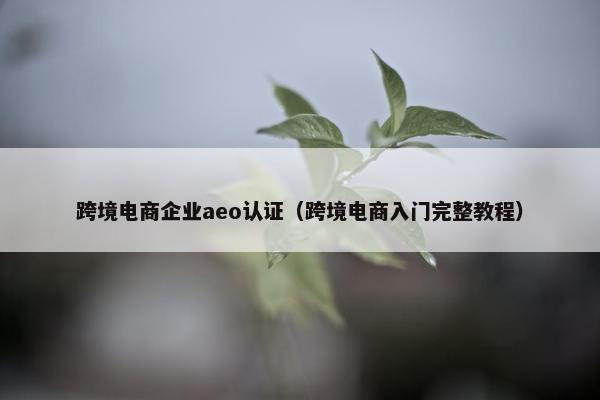 跨境电商企业aeo认证（跨境电商入门完整教程）