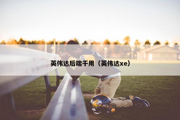 英伟达后端干用（英伟达xe）