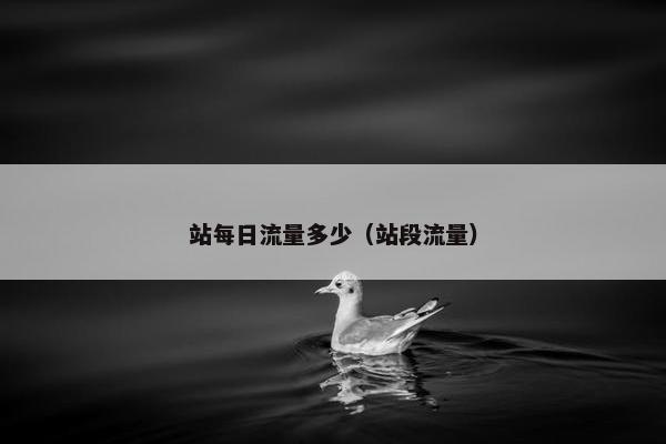 站每日流量多少（站段流量）