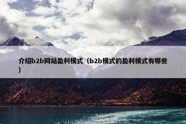 介绍b2b网站盈利模式（b2b模式的盈利模式有哪些）