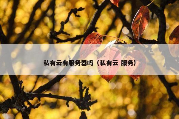 私有云有服务器吗（私有云 服务）