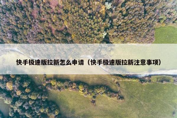 快手极速版拉新怎么申请（快手极速版拉新注意事项）