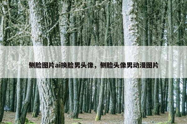 侧脸图片ai换脸男头像，侧脸头像男动漫图片