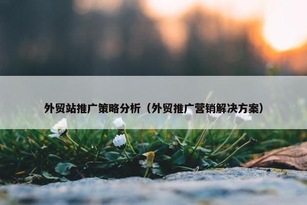 外贸站推广策略分析（外贸推广营销解决方案）