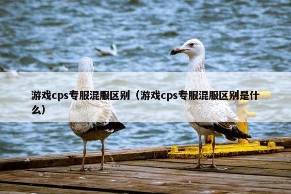 游戏cps专服混服区别（游戏cps专服混服区别是什么）