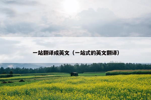 一站翻译成英文（一站式的英文翻译）