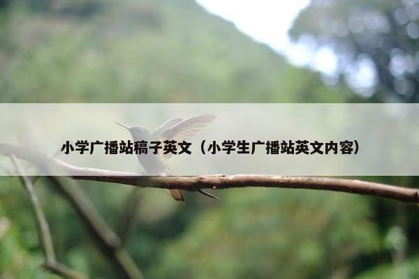 小学广播站稿子英文（小学生广播站英文内容）
